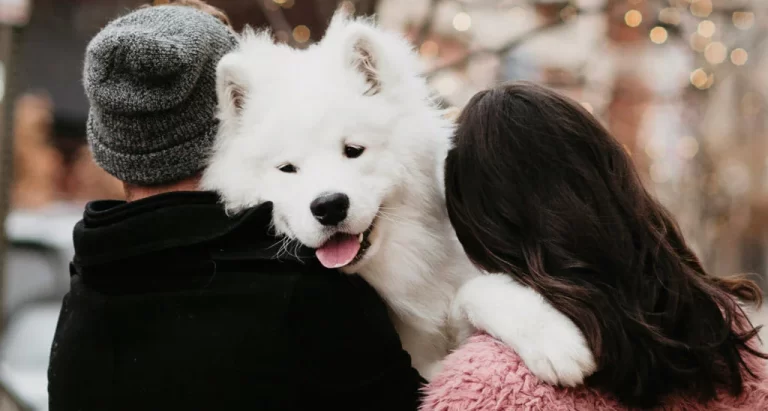 bringing dog on first date
